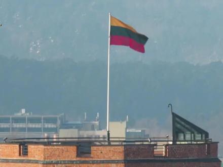 立陶宛终于知道疼了,中方不准蒙混过关,必须拿出实际行动 #立陶宛 #新年囤点专业货 #春节世界观察