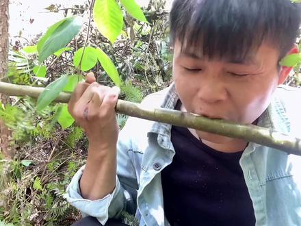 可以直接吃的树皮,你们有吃过吗?#记录我的农村生活 #大山里的味道