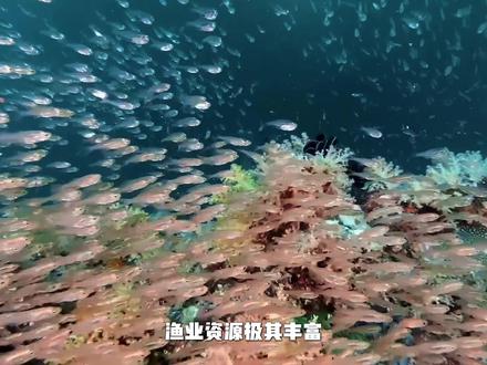 今年的高温根本不是太阳的问题,而是地球“散热系统”开始失控了#厄尔尼诺 #天气 #科普 #高温 #涨知识
