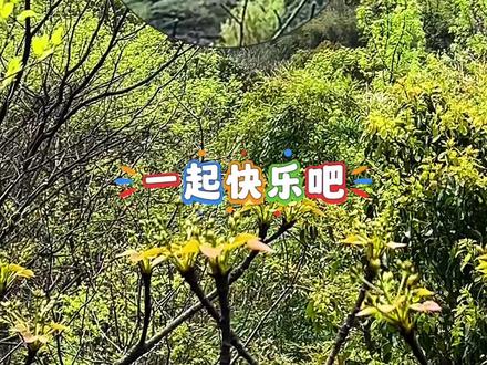 宝藏江南小城新昌一日游攻略🪷含大佛寺-沃州路,九重紫取景地 朋友们,春游踏青,绍兴新昌这座宝藏江南小城不要错过,大佛寺真的是祈福、追剧、轻徒步一站式搞定,超多热门古装剧拍摄地《九重紫》《周生如故》《莲花楼》《一念关山》《少年歌行》等等。
新昌一日游路线如下:
大佛寺(4-5小时)➡️沃州路(美食一条街吃吃吃),大佛寺走10分钟就到➡️回杭州
大佛寺游览路线参考,包含大部分精华景点:
卧佛殿——千佛禅院——城隍庙——佛心广场——栖光净院——万佛宝塔——般若谷——江南第一大佛——新大雄宝殿——佛心广场——木化石林
美食:
📍大佛寺内
佛心那里有一家素面馆,味道不错的
📍沃州路
大佛寺出来,直行10分钟,沃州路一条街都是本地美食,
1️⃣一溜下,招牌是芋饺,我点了牛肉芋饺,不是很吃得惯
2️⃣燕子春饼:好吃的,阿姨人也好
3️⃣沃州路62号羊骨头:很出名,听说豆腐包好吃,没有去吃
4️⃣闹周果麻糍:买了一些带回杭州,糯唧唧好吃的,看着师傅现做的
5️⃣好又来广东粥
#我在南方过春天 #为中国小城上分 #新昌旅游攻略 #新昌大佛寺 #江浙沪周边游