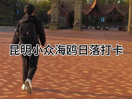 昆明小众海鸥日落观赏地指南.
#日落 #昆明 #昆明小众打卡地 #海鸥 #昆明打卡