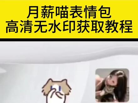 #月薪喵表情包 月薪喵头像 月薪喵跳舞 #月薪喵表情包获取教程 #小猫捂鼻子扇空气表情包微信 #表情包怎么添加到微信 小猫说永远表情包 小猫说永远壁纸 我真的特别爱你歌词 小猫捂鼻子扇空气原视频 #剪映