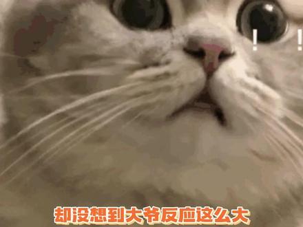 当小哥假装没钱向路人要1美刀时......