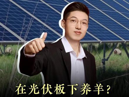 在光伏板下养羊?让荒漠逆袭为成片牧场。#地理知识 #光伏羊业 #荒漠治理 #孩子教育 #科普