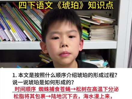 #四年级下册语文 《琥珀》重点知识归纳#知识点总结 #必考考点 #阅读理解 #四年级语文