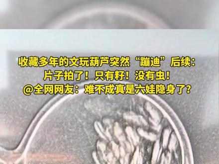 收藏多年的文玩葫芦突然“蹦迪”后续:
片子拍了!只有籽!没有虫!
@全网网友:难不成真是六娃隐身了?
(编辑 孟雪 责编 王牡丹)