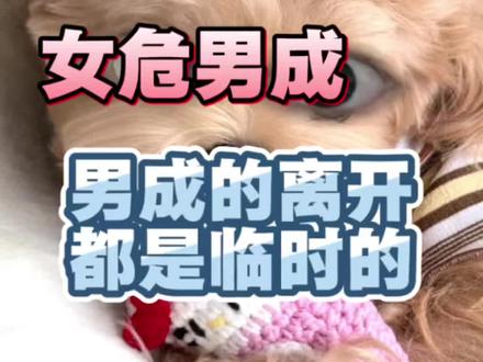女危男成 男成的离开都是临时的 #危成 #危成关系 #危成星宿关系 #危成关系入局表现