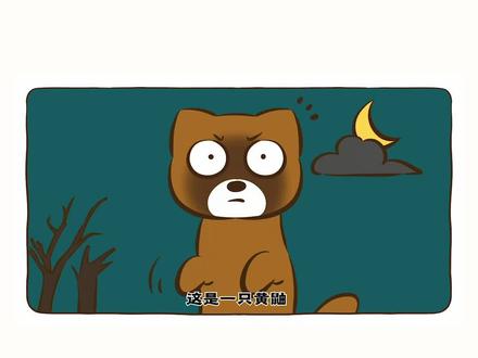 被称为“黄大仙”的黄鼠狼究竟有多厉害?#轻漫计划 #黄鼬 #冷知识