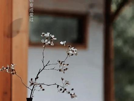 谁的等待恰逢花开,我在等风也等你