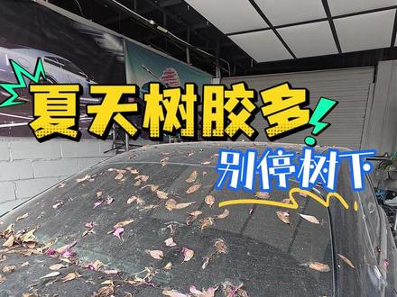 人在树下好乘凉,车停树下毁车漆。经常有车主问:虫胶、树胶滴在车上怎么清洗?一条视频带大家认识并了解这些顽固的虫胶树胶鸟粪。#树胶滴在车上怎么清洗 #车停树下 #虫胶树胶清洗剂 #虫胶去除剂 #鸟粪会腐蚀车漆吗