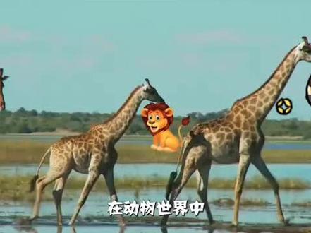 #上热门
国王蛇世上最大的毒蛇#动物世界 #科普 #抖音小助手