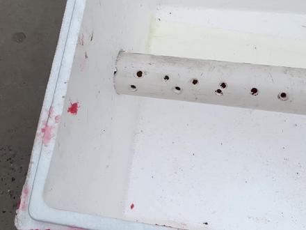 堆肥干货 新手如何堆肥#种植 #怎么堆肥 #堆肥 #堆肥教程