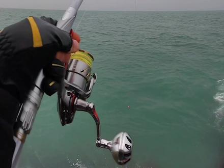 这个冬天钓了好多白蜡,终于来一条黑鲷。#海钓 #矶钓海钓 #何亮超诱玉米 #一生只为这一口 #何亮面饵 #负浮力钓法