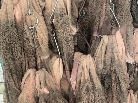 北京水爆肚源头材料