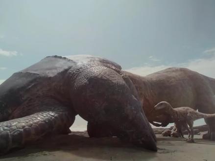 辟谣霸王龙在水里打得过普鲁斯鳄