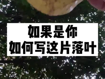 同样的一片落叶,你会如何写?#抖来学习 #萌知计划 @抖音青少年 #语文