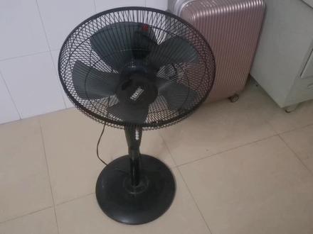 教你正确拆卸电风扇的方法,定期清洗,吹出的风才能更大更凉爽 #电风扇 #网红小风扇