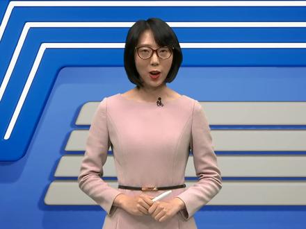 部编四年级语文上册第19课《一只窝囊的大老虎》第一课时