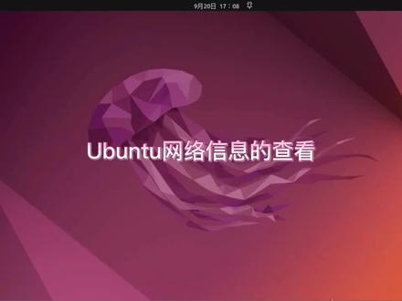 Ubuntu网络信息的查看#Ubuntu#LINUX#电脑技巧 #电脑 #电脑知识 #操作系统 #小技巧