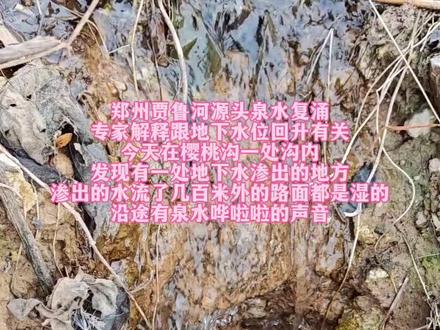 郑州贾鲁河源头泉水复涌
专家解释跟地下水位回升有关
今天在樱桃沟一处沟内
发现有一处地下水渗出的地方
渗出的水流了几百米外的路面都是湿的
沿途有泉水哗啦啦的声音#真实户外 #地下水渗出#贾鲁河源头泉水复涌