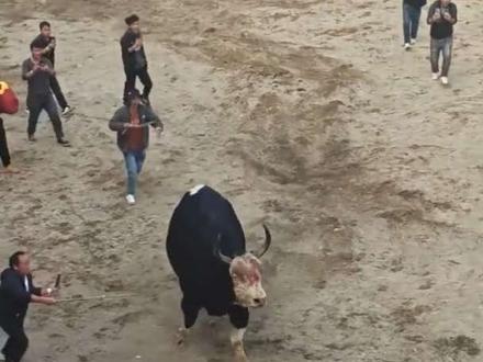 高清视频新时金刚VS飞来寺白脸 全程7分20秒……