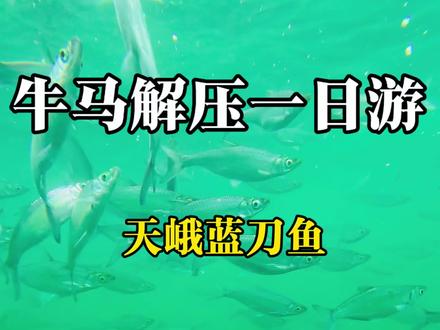 牛马解压一日游#蓝刀鱼 #天峨蓝刀鱼风暴 #风景都在路上 #壮美广西 #广西山水风景