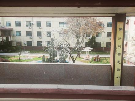 明年二中花开之时 你还会在这里吗#高唐二中 #春天