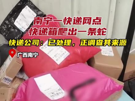 南宁一快递网点快递箱爬出一条蛇,快递公司:已处理,正调查其来源#广西 #南宁 #快递 #蛇 #活体