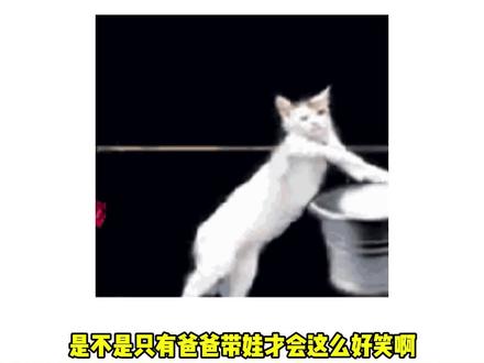 宝爸带娃有多搞笑#爸爸 #人类幼崽 #搞笑