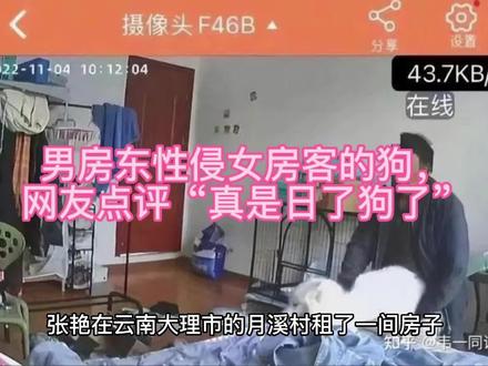男房东性侵女房客的狗,网友点评“真是日了狗了”