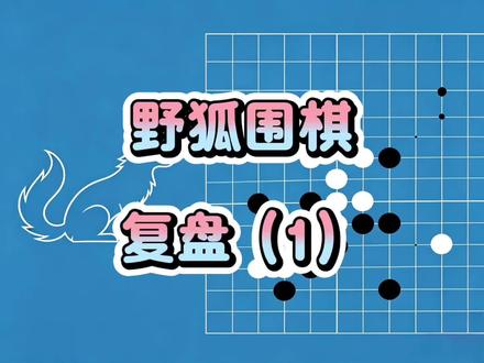 野狐围棋:复盘1