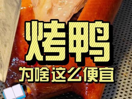 鸭肉为什么那么便宜? #自然奇境科普季