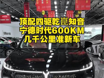 国货之光来袭 岚图知音顶配 有选装 几千公里带智驾 还有岚图梦想家 free 抓住机会 #岚图 #岚图知音 #岚图梦想家 #岚图free+ #河北