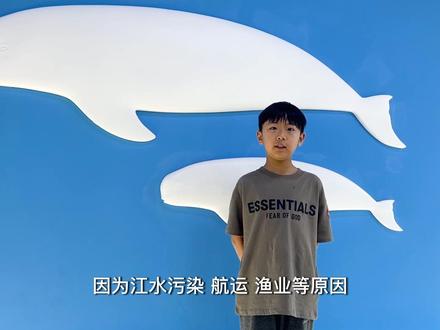 一则央视公益广告引发的暑期研究作业#保护长江江豚