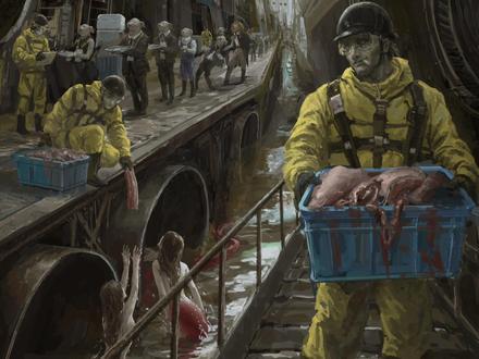 希望大家可以爱护小动物!#画画#板绘