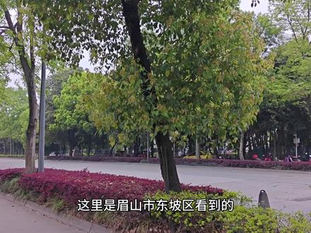蒙牛乳业(眉山)有限公司 乳制品生产企业