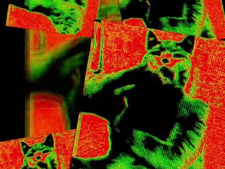 作者已遇害#拔罐猫 #暗网 #阴间