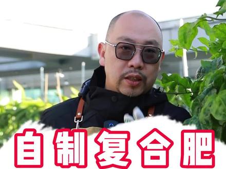 怎么自制三个15的复合肥?一个视频告诉你,简单又好用#复合肥 #农业种植