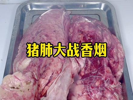 给一个猪肺抽100根烟,最后会有什么变化?#戒烟 #解压 #趣味实验 #清道夫 #徐公实验室