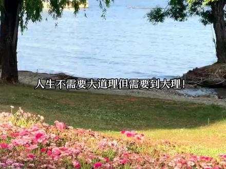 当红毯遇见洱海,当海风邂逅浪漫,抖音繁花盛典直接封神!#2026抖音直播繁花盛典 #繁花盛典出片像呼吸一样简单#在大理爱上生活