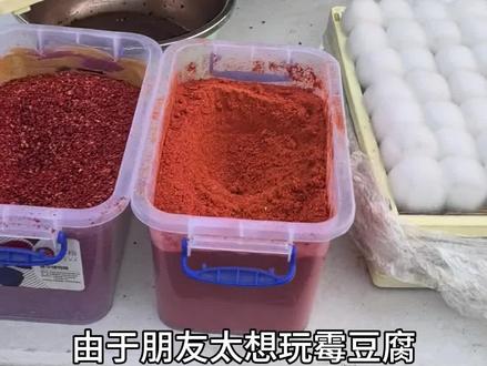 也是体验上制作霉豆腐了,好玩!!!原创作者@腰果花味冰激凌 #霉豆腐 #霉豆腐制作 #纯天然美食