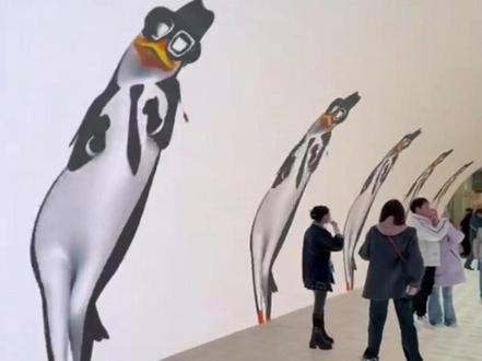 重庆这地儿指定有点说法#重庆 #高雅人士 #企鹅舞 #抽象