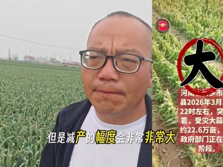 现在大蒜遭受冰雹,会造成大幅度减产