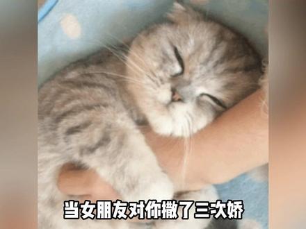 看吧 大家女朋友都这样 #恋爱日常 #撒娇 #可爱 #内容过于真实