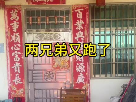你们要的后续来了,非常炸裂,我弟把我们耍得团团转。#原生家庭