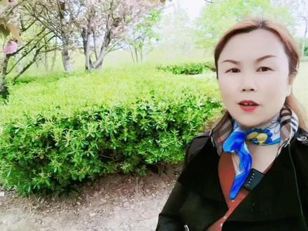 被封禁的抖音号登录不了,如何注销账号#经验分享 #希望能帮到有需要的人 #教程 @DOU+小助手