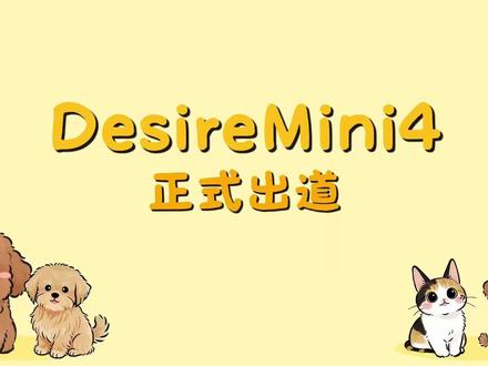 DesireMini4二代团出道日
