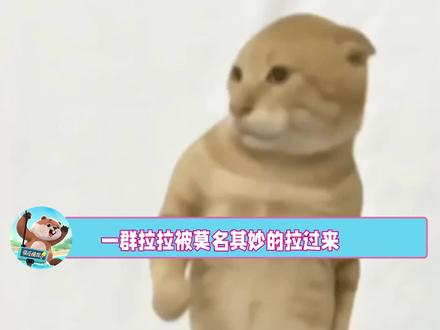 到底是谁教博主打的这雷霆标签 #钓鱼 #万万没想到 #拉拉 #抽象 #离谱