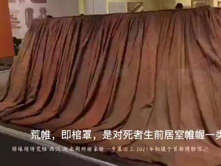 286章硫酸厂的秘密~都记得硫酸厂那卷的“荒帷”吧?荒帷,即棺罩,是对死者生前居室帷幄一类的模仿#北派盗墓笔记#古墓