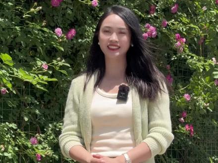 蔷薇花的花语是浪漫的爱,盛开的花朵仿佛在向这座城市告白~宣城